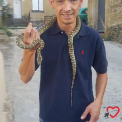 Photo de Chris, Homme 47 ans, de Avignon Provence-Alpes-Côte-dʿAzur